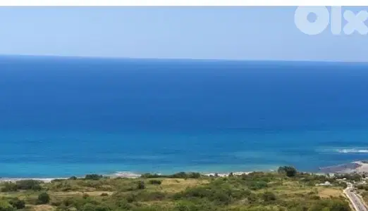 land for sale in kfar Abida أرض للبيع في كفرعبيدا