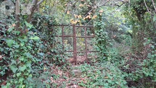 Land for sale in Torza Becharri -أرض للبيع في تورزا – بشري