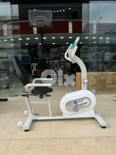 Recumbent Bike