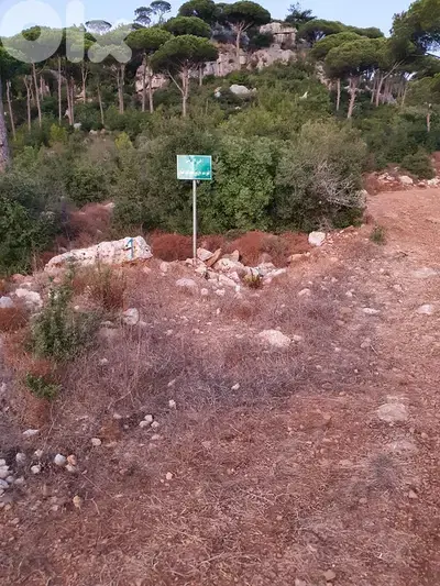 Multiple Lands for Sale in Ras Al Maten أراضي متعددة