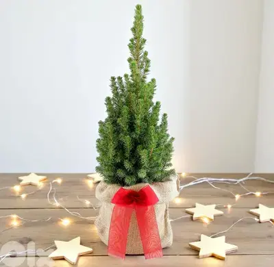 Mini Christmas Tree