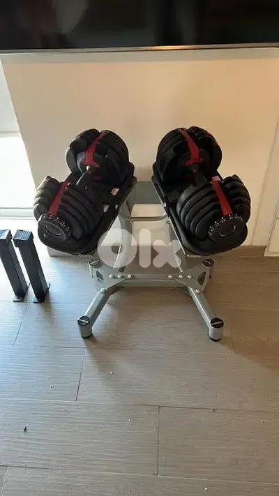 Bowflex Dumbbells