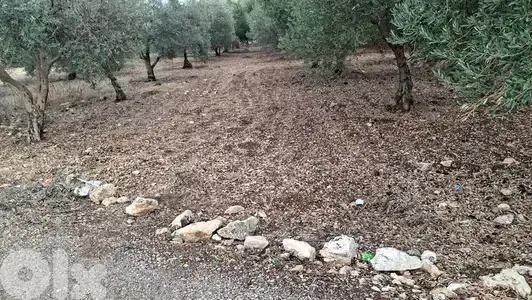 GMN153CM - Land for sale in Bziza-Koura - أرض للبيع في بزيزا - الكورة