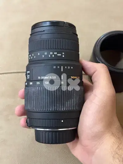 Sigma 70-300 Nikon