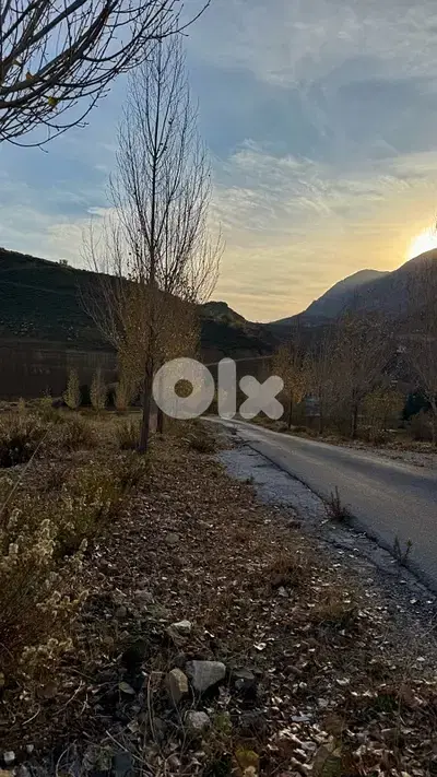 1160m² Land For Sale In Laklouk أرض للبيع في اللقلوق