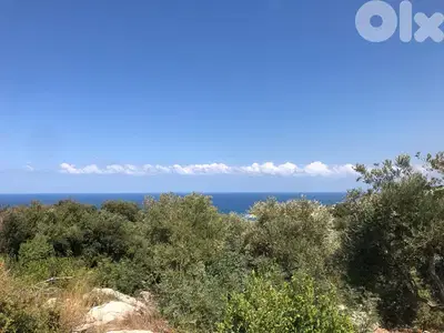 Land for sale in Monsef-Jbeil أرض للبيع في منصف جبيل
