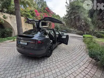 Tesla Model X 2019