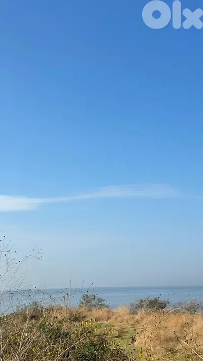 Land for sale in Kfaraabida-Batroun أرض للبيع في كفرعبيدا - البترون