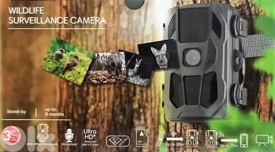 wildlife camera