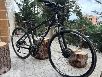 hybrid