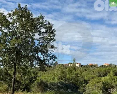 Land For Sale In New Sehayleh - أرض للبيع في نيو سهيلة