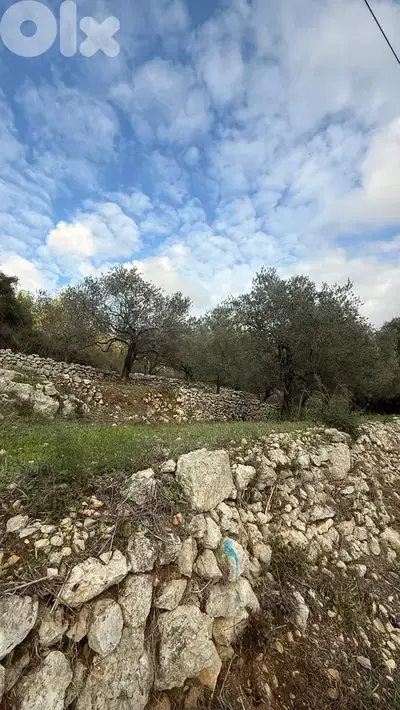 GMB166SA - Land for sale in Batroun - أرض للبيع في بترون