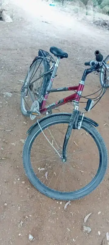 عدلون