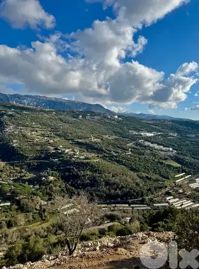 Lands For Sale In Torzaya-Jbeil With Payment Facilities بالتقسيط