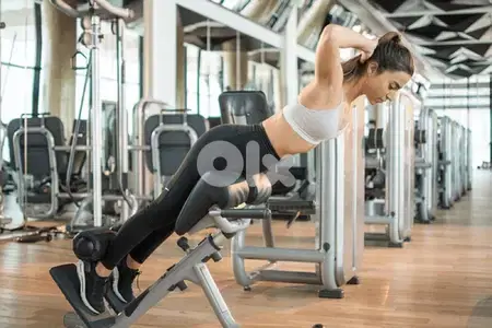 Back extension new