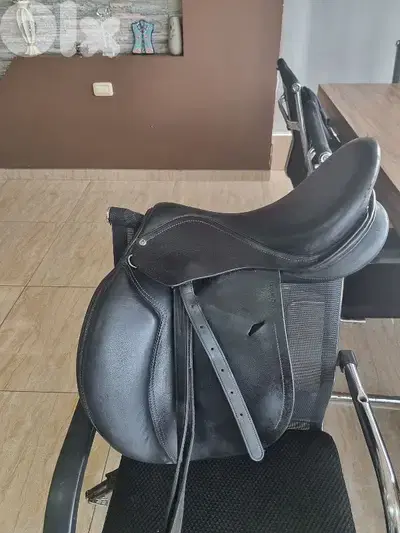 عدة ركوب وعناية بالخيل horse equipment