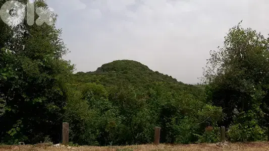 GMB129 Land With an old House For Sale In Kfifan أرض مع منزل