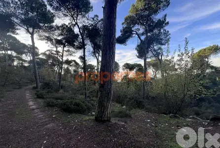 Exceptional Land for Sale in Bikfaya Bhorsaf’s Sakiyet El Misk-CPCC95