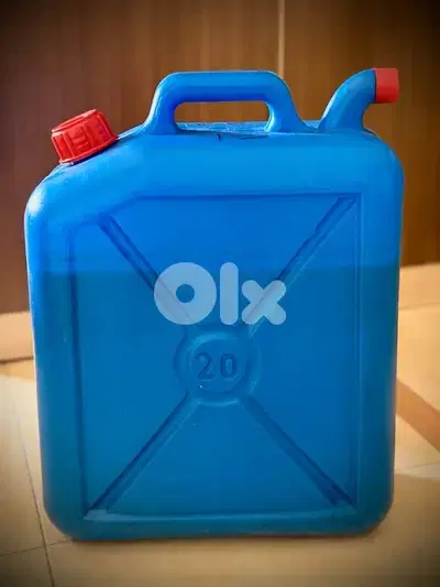 Olive Oil 2025