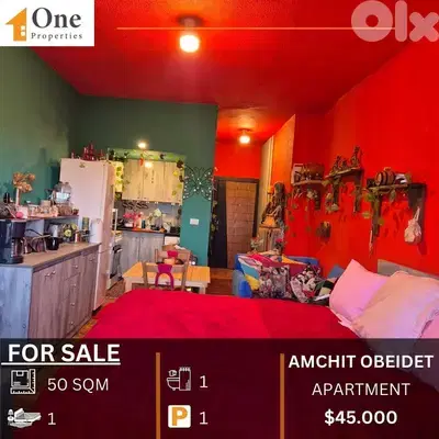 APARTMENT FOR SALE IN AMCHIT AABEIDAT