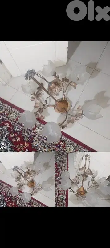 صيدا بيساريه