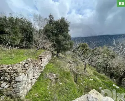 Land | Prime Residential Plot in Ain Jrein - jbeil ! REF#RS131510