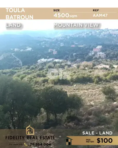 Land for sale in Toula Batroun AAM47 أرض  للبيع في تولا البترون