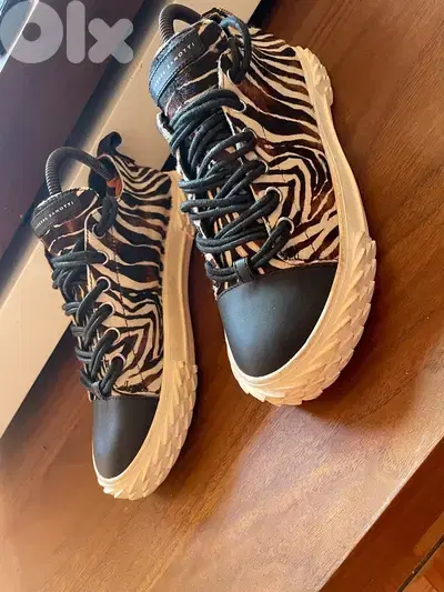 Giuseppe zanotti