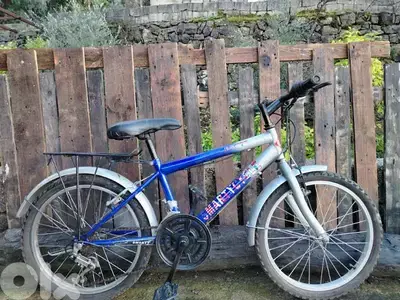 bicycle 20