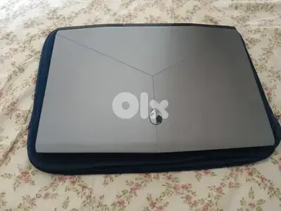 Alienware M15 R1,NVIDIA RTX 2060,16 GB of RAM,1.14 TB of storage