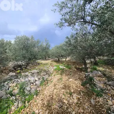 GMB151GM Land For Sale In Rihane Jeddayel أرض للبيع في ريحان - جدايل -