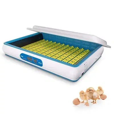 H-120 Home Egg Incubator – 120 Chicken Eggs (Pet Use)