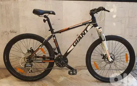 Giant Rincon disc