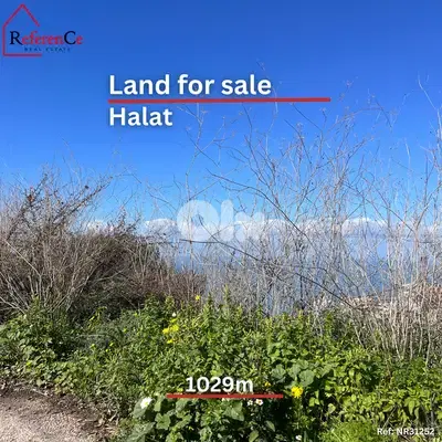 Prime location land in halat for sale أرض للبيع في حالات