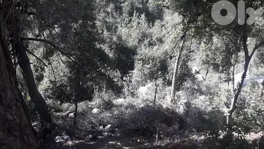 land for sale in baabdat Shalimar   أرض للبيع في بعبدات شاليمار