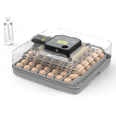 YZ-48H Home Egg Incubator - 48 Chicken Eggs (Pet Use)