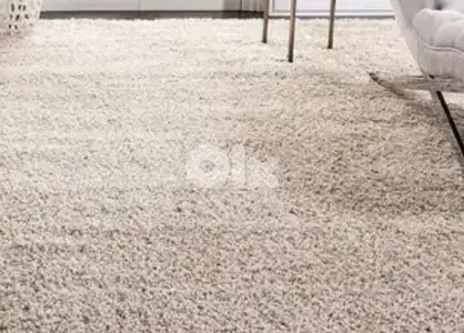 beige shaggy carpet