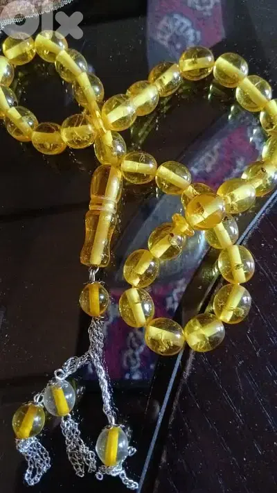 مسبحه حشريه