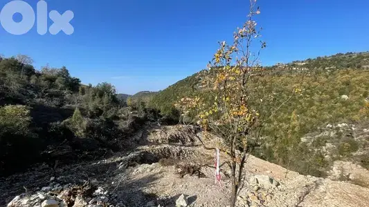 RWB198PK - Land for sale in Mechmech Jbeil ( HOT DEAL )