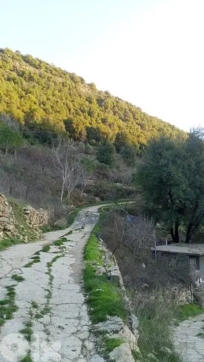 أرض للبيع في البتلون land for sale in batloun chouf الشوف