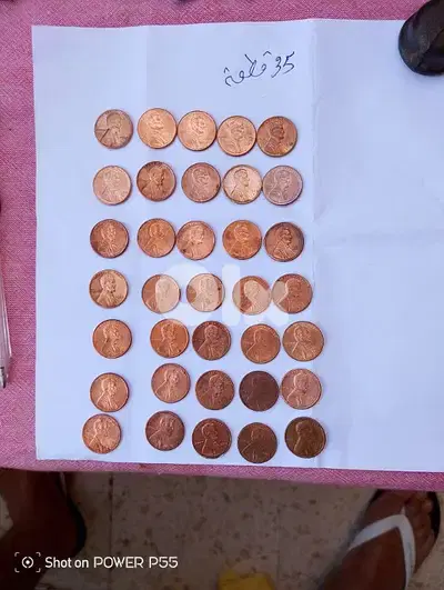 جل الديب