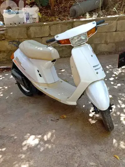 ضبية المتن