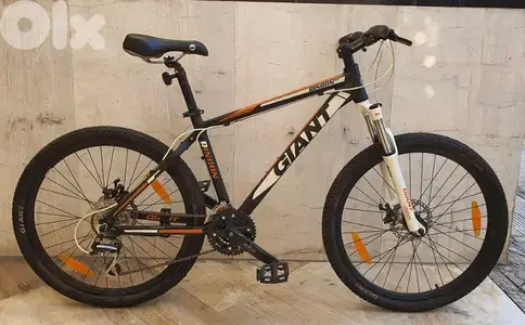 Giant Rincon disc small (used)