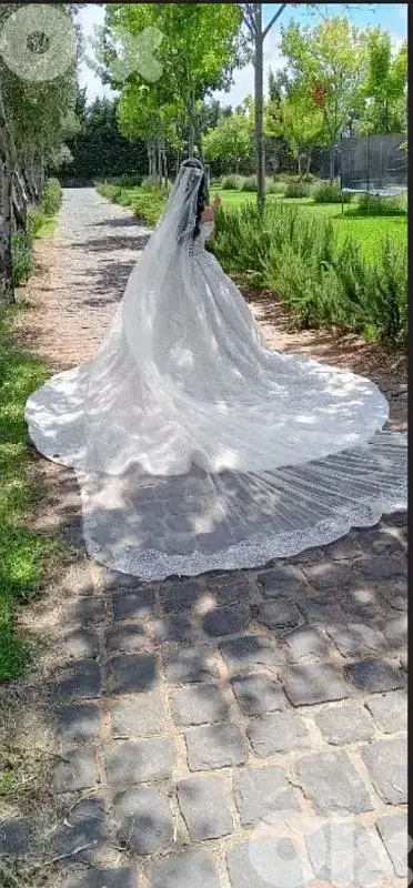 المية ومية