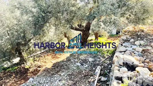 Land for Sale in Beit Chlela - أرض للبيع في بيت شليلا