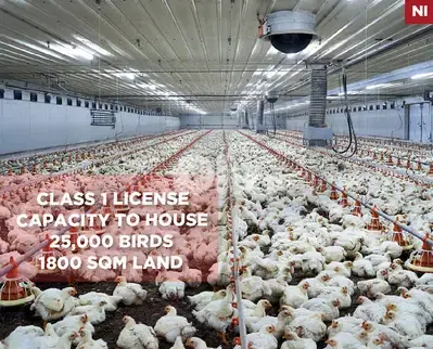 Fully equipped and operational,poultry farm, Jbeil /جبيل  REF#NI133828
