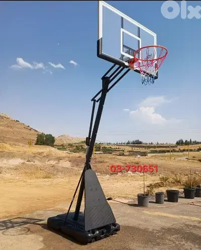 230$ movable basketball hoop