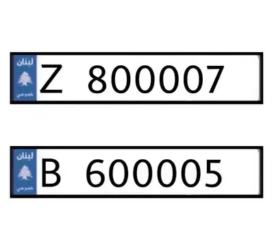 Z   800007   &   B   600005