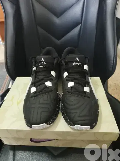 Zoom Freak 5