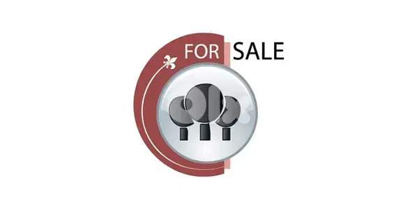 Land for Sale in Tarchich